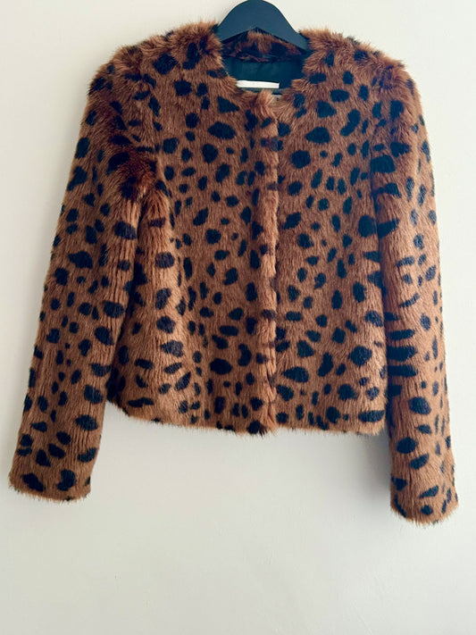 Stand Brown Leopard Collarless Cropped Fur Jacket.