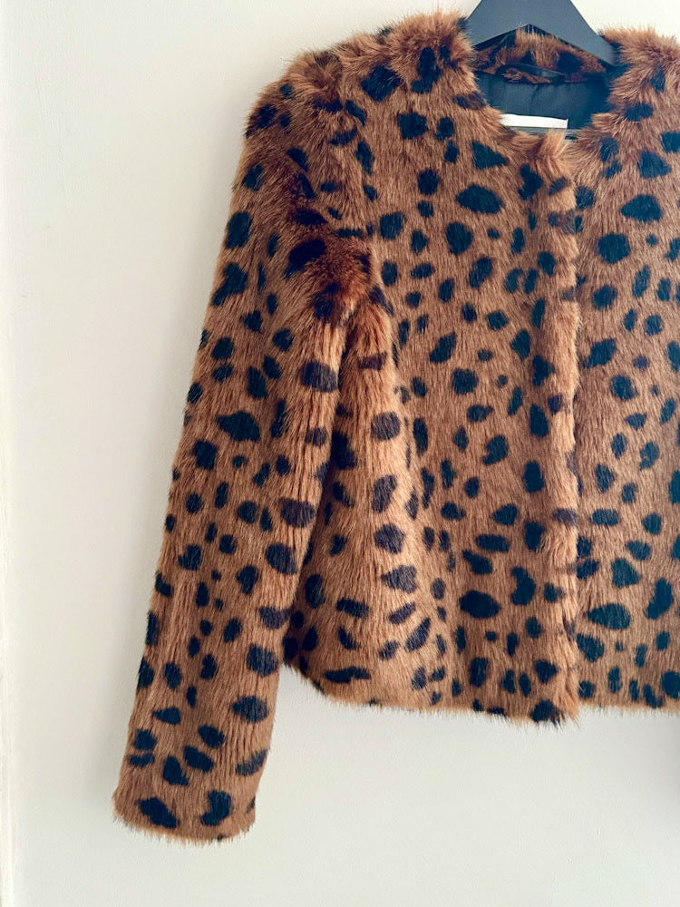 Stand Brown Leopard Collarless Cropped Fur Jacket.